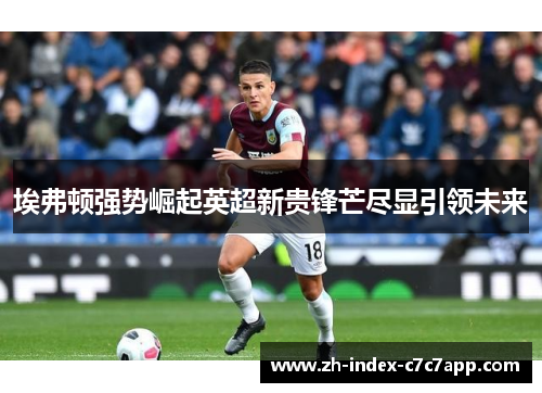 埃弗顿强势崛起英超新贵锋芒尽显引领未来 埃弗顿强势崛起英超新贵锋芒尽显引领未来
